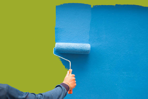 Best Eco-Friendly and Low-VOC Painting  in Shenandoah, TX